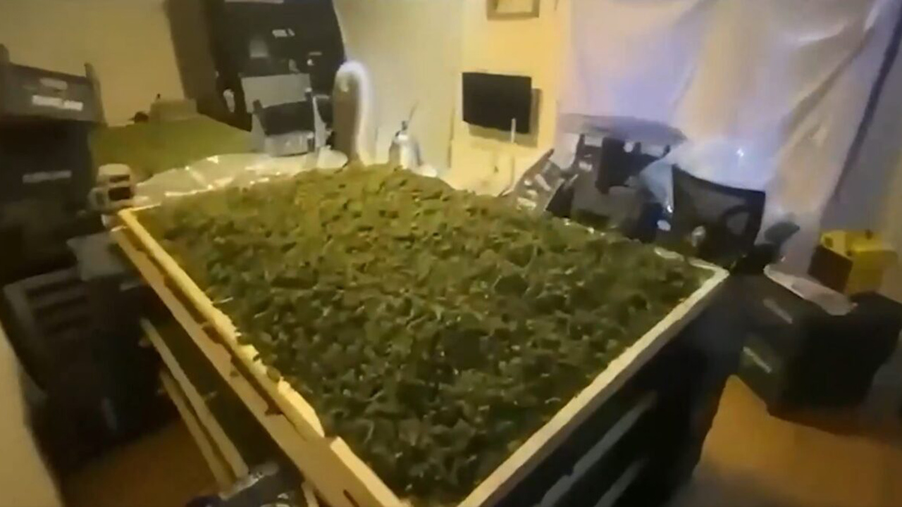 Bakan Yerlikaya duyurdu! Uyuşturucu operasyonlarında 768 şüpheli yakalandı