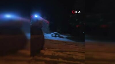 Bursa Uludağ’da kış uykusuna yatmayan ayılar böyle görüntülendi