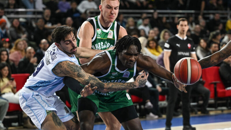 Potanın Timsahları Ankara’da kayıp