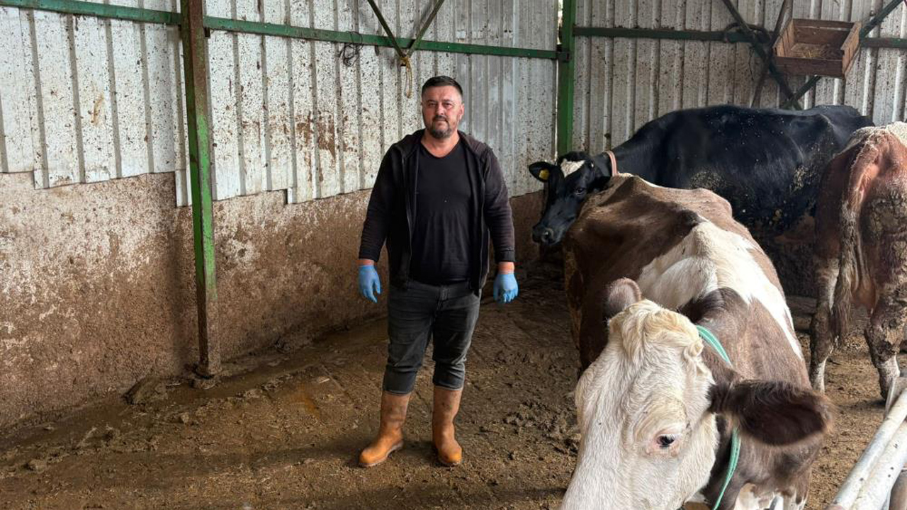 Bursa’da şap kâbusu