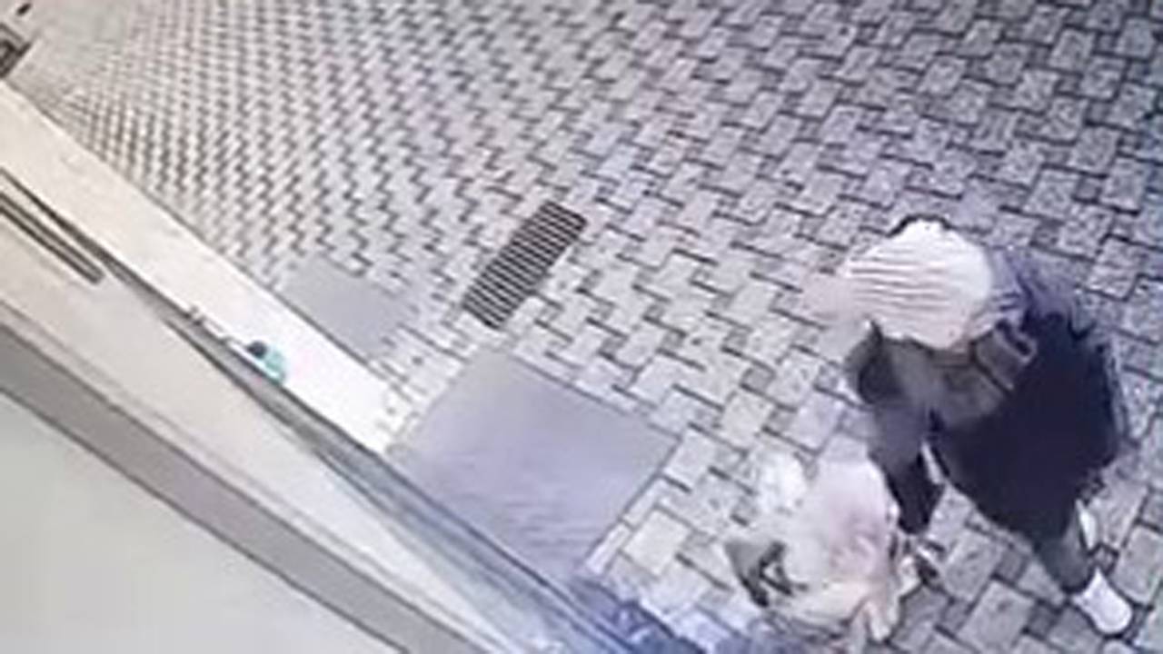 Bursa’da pazar arabası hırsızlığı