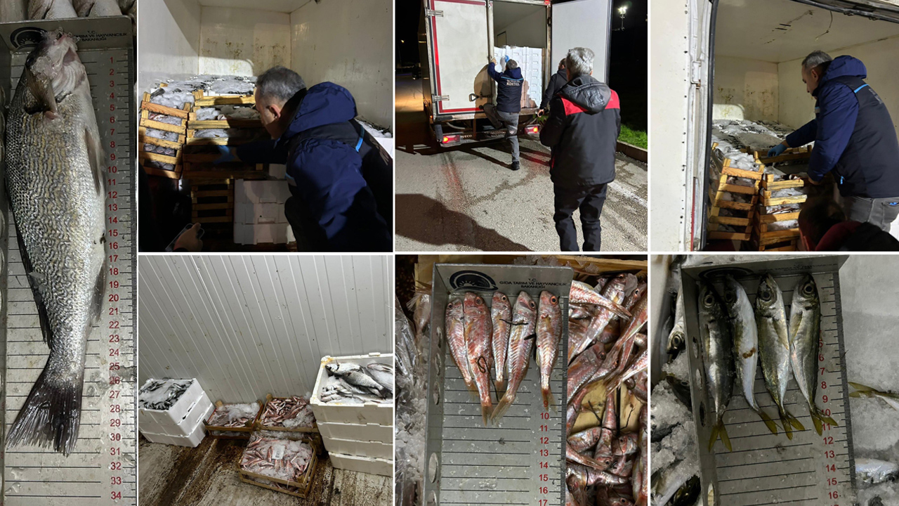 Bursa’da sıkı denetim! 141 kiloya el konuldu