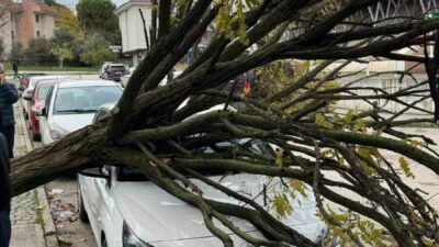Bursa’da ağaç devrildi! Korku dolu anlar kamerada…