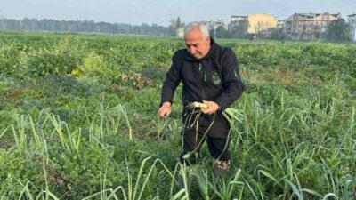 Bursa’da ata tohumundan kent lokantasına lezzet yolculuğu