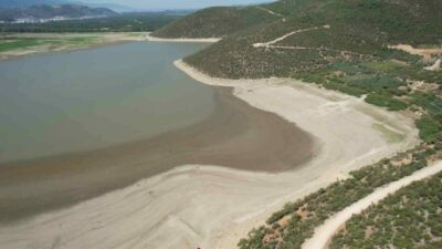 Bursa’da büyük tehlike! Yok oluyor…