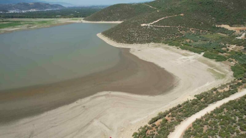 Bursa’da büyük tehlike! Yok oluyor…