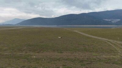 Bursa’da büyük tehlike! Yok oluyor…