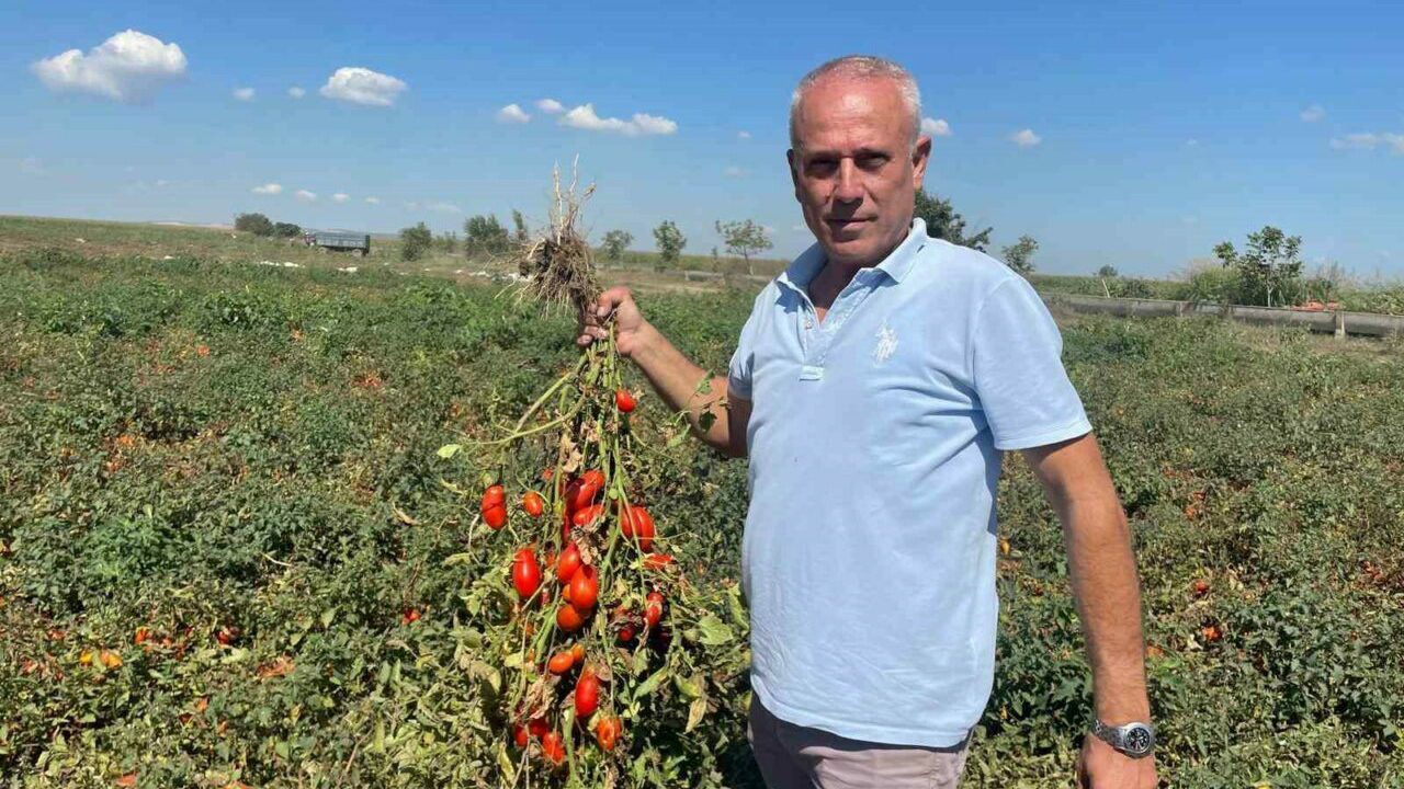 Bursa’da dedesinin muhtar olduğu seçimde doğdu! Adını bakın ne koydular Bursa’da dedesinin muhtar olduğu seçimde doğdu! Adını bakın ne koydular