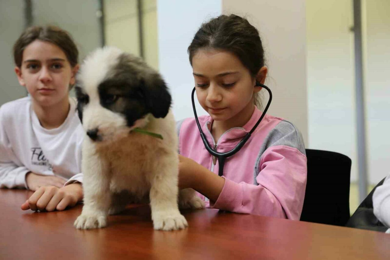 Bursa’da minik veterinerler görev başında Bursa’da minik veterinerler görev başında