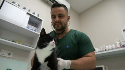 Bursa’da ‘sokak canları’na ücretsiz kısırlaştırma ve check up imkanı