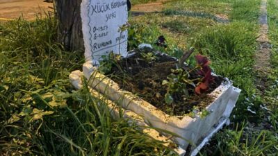 Bursa’da taksicilerden vefa…Ölen kuşları için bakın ne yaptılar…