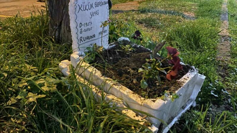 Bursa’da taksicilerden vefa… Ölen kuşları için bakın ne yaptılar…