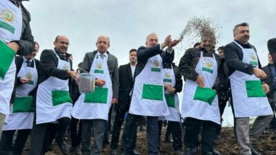 Bursa’da yanan 4 bin 256 hektar alana hayat tohumu!