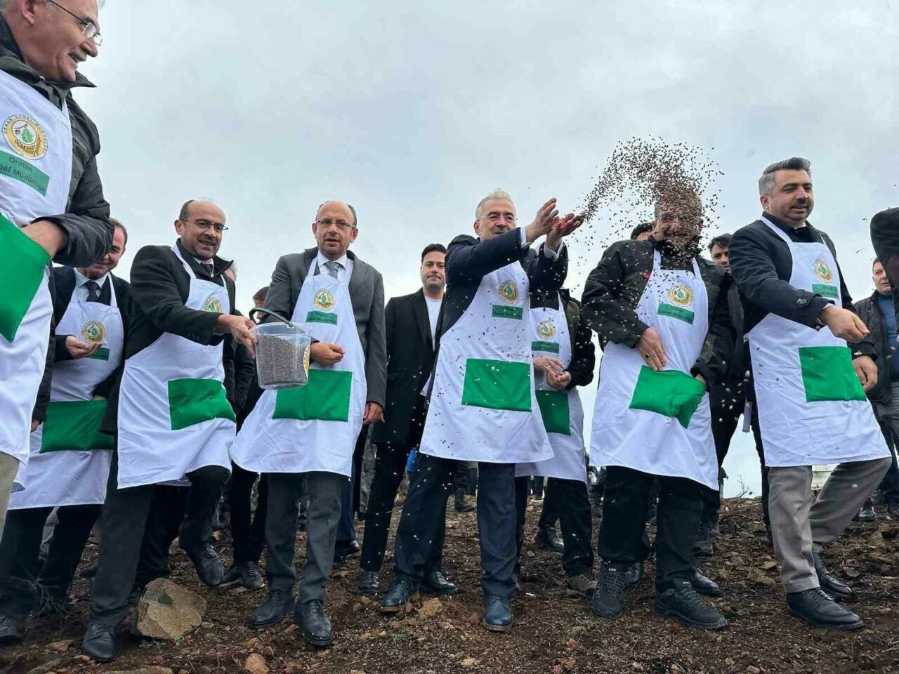 Bursa’da yanan 4 bin 256 hektar alana hayat tohumu!