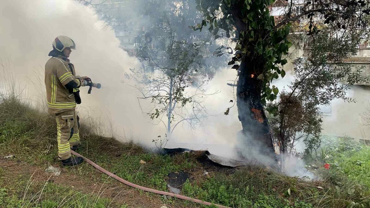 Bursa’da yangın paniği Bursa’da yangın paniği
