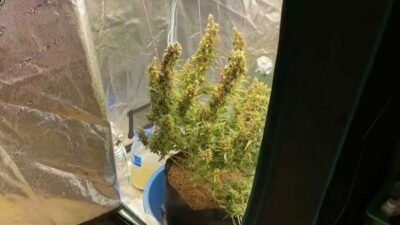 Bursa’da zehir tacirlerine darbe üstüne darbe