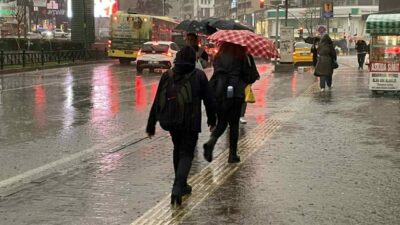 Bursalı çiftçinin yüzü gülüyor