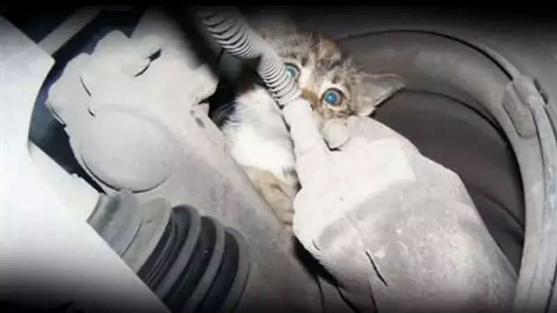 Bursalılara belediyeden hayati çağrı!