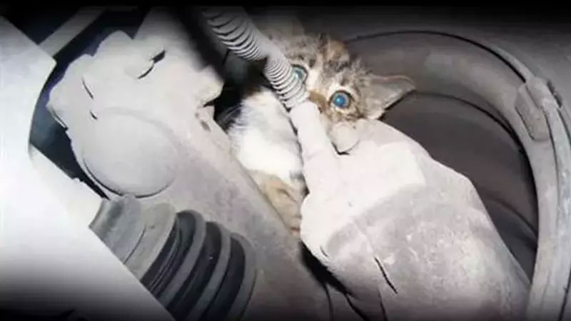 Bursalılara belediyeden hayati çağrı! Bursalılara belediyeden hayati çağrı!