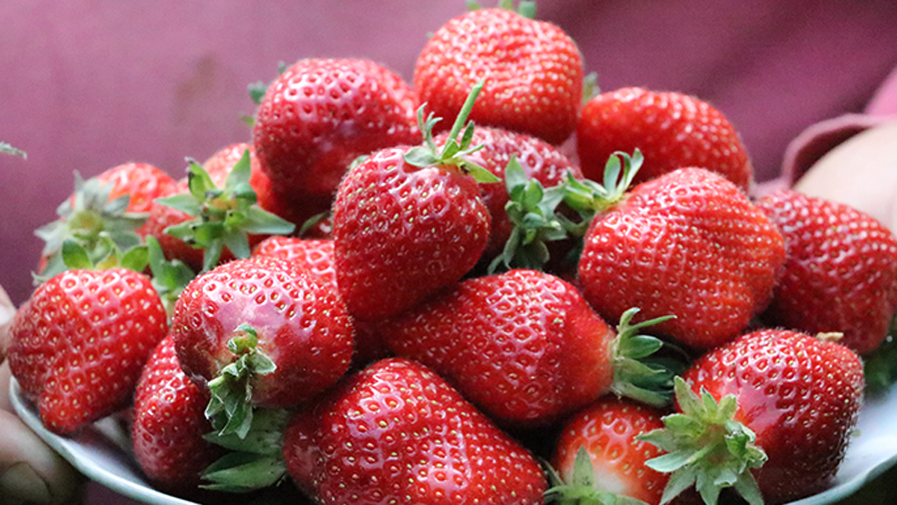 Bursalılar dikkat! Yüzde 50 hibeli dağıtacak