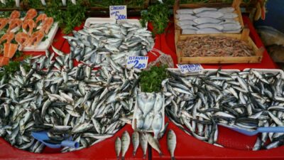 Bursa’da et fiyatları yükseldi balığa ilgi arttı! İşte tezgahlardaki son rakamlar…