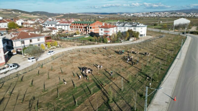 Bursa’ya yeni koruluk! Bölgeye nefes olacak… İnegöl Belediyesi, Akhisar Mahallesi, Akkanal Sokak’ta 2 parçadan oluşan toplam