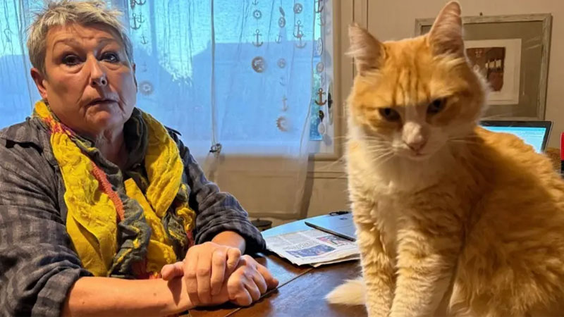 İşte dünyanın ilk ev hapsi alan kedisi! İşte dünyanın ilk ev hapsi alan kedisi!