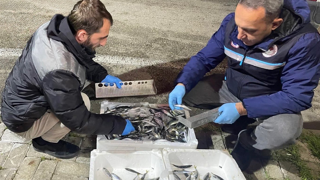 Bursa’da 1,7 tondan fazla balığa el konuldu