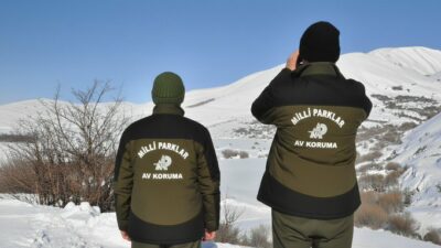 Yaban keçisi vuran avcıya 956 bin TL ceza