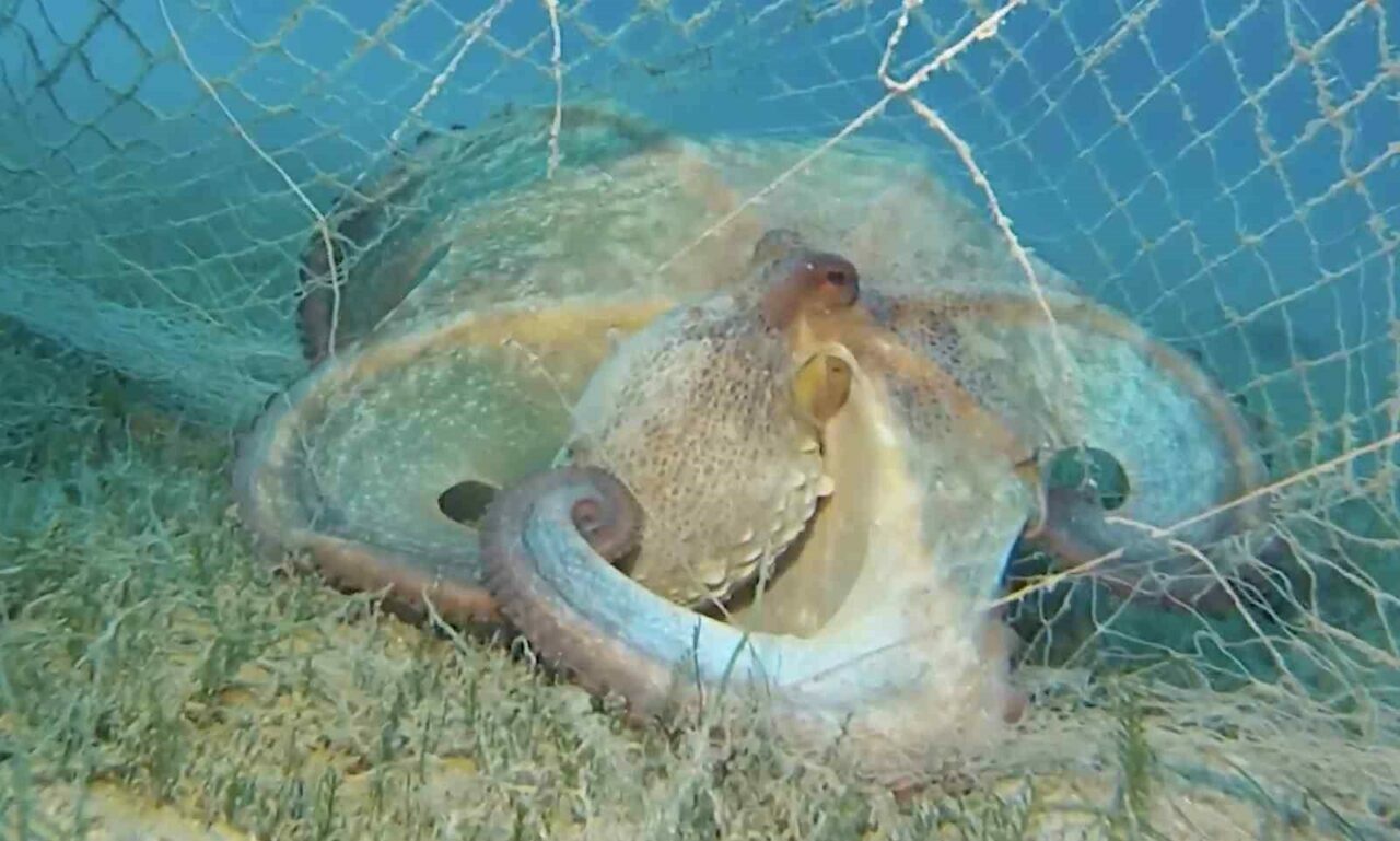 Bakanlık açıkladı: 420 milyon metrekare alan tarandı