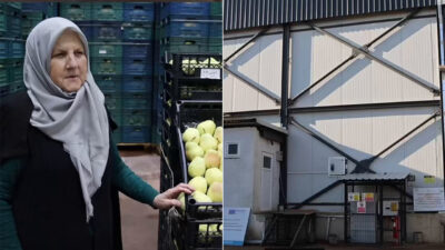 Tarım Bakanı Yumaklı, Bursa’daki Hayriye teyzeyi paylaştı