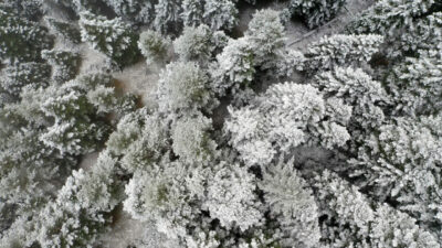 Anadolu’nun ‘yüce dağı’ Ilgaz’dan muhteşem kar manzaraları