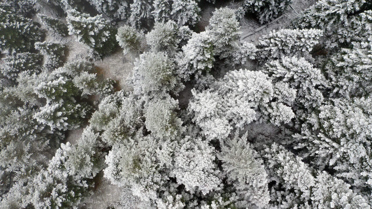 Anadolu’nun ‘yüce dağı’ Ilgaz’dan muhteşem kar manzaraları