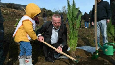 Karacabey’de yangın sonrası ilk fidanlar toprakla buluştu