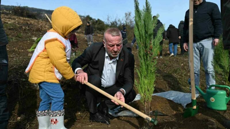 Karacabey’de yangın sonrası ilk fidanlar toprakla buluştu
