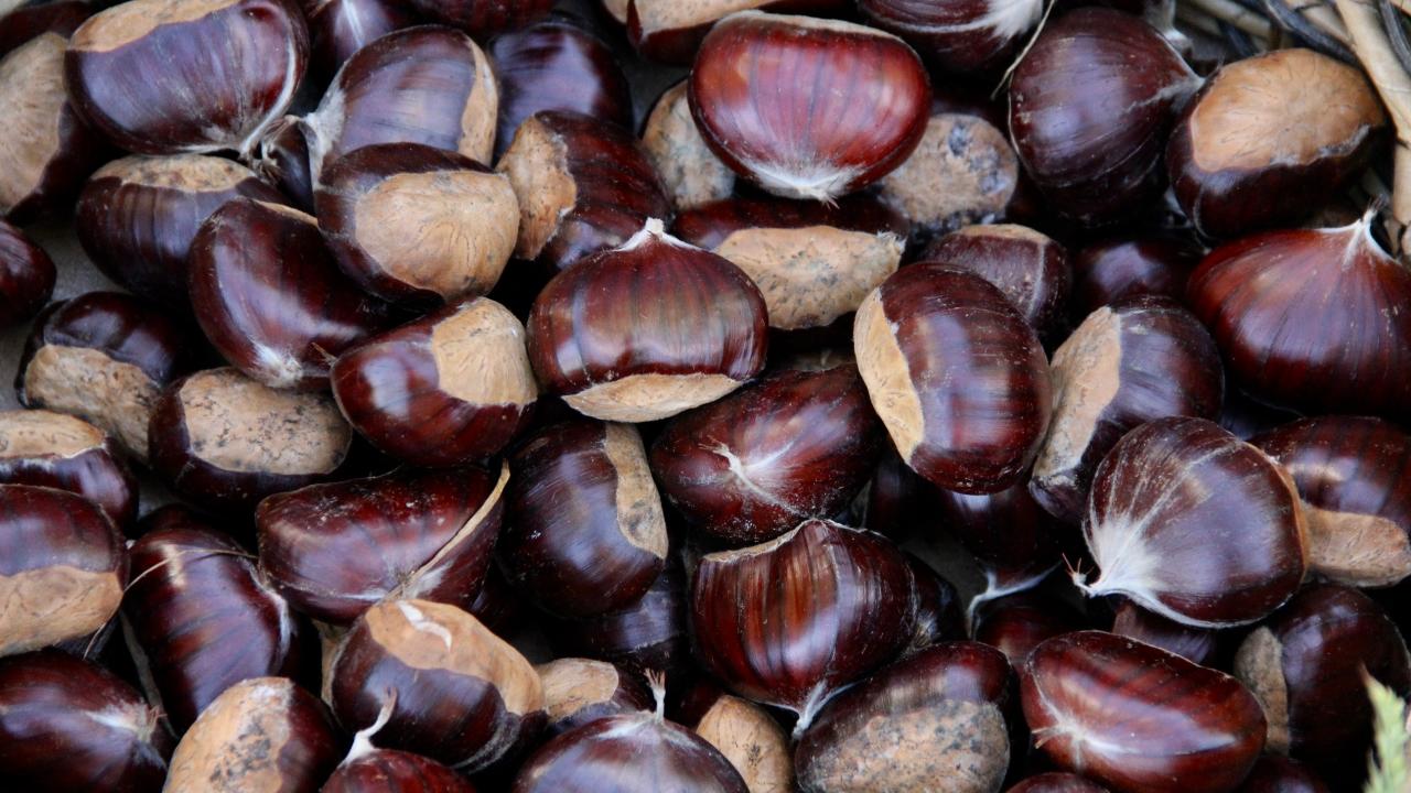 Bursa’nın markası nasıl tükendi, nasıl canlanacak? Bursa’nın markası nasıl tükendi, nasıl canlanacak?