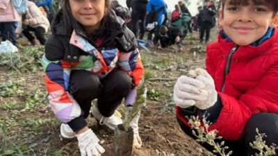 Bursa’yı minik eller yeşertecek