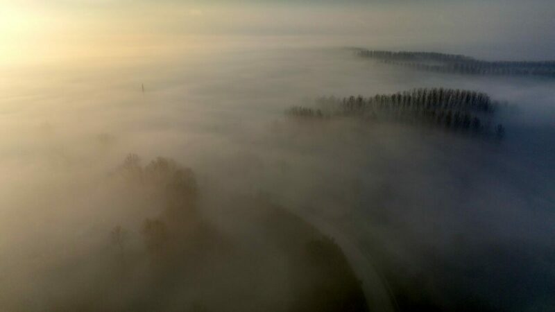 Muhteşem görüntüler! Bir kenti sis kapladı