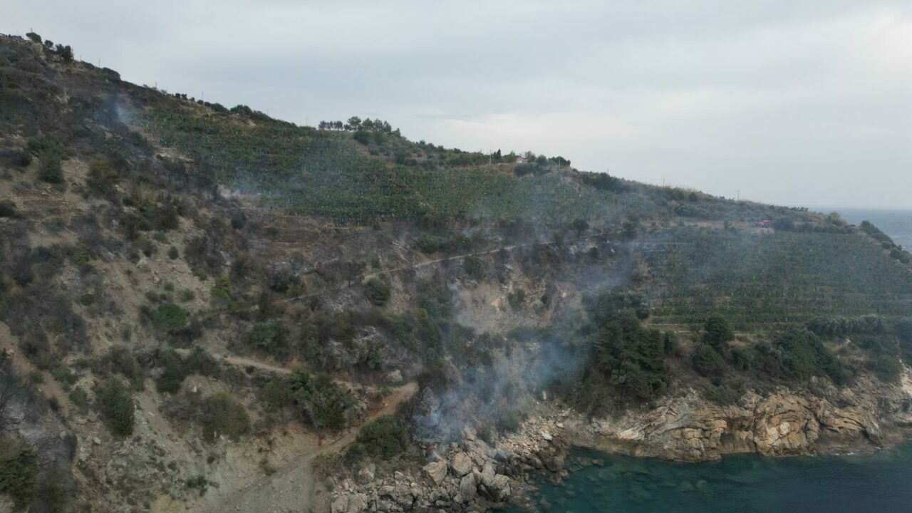 Muz bahçelerinde çıkan yangın söndürüldü Muz bahçelerinde çıkan yangın söndürüldü