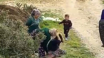 Oğlunun gözü önünde kuzenleri tarafından darbedildi