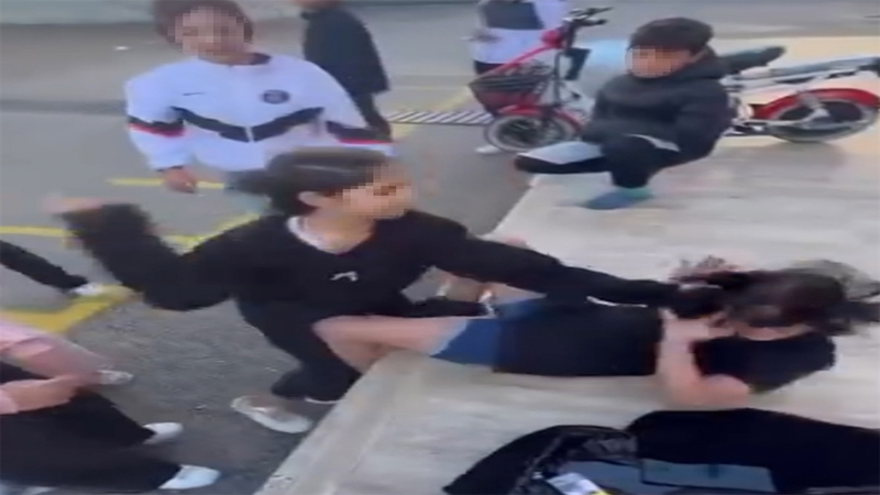 Okul bahçesinde dehşet! 11 kişilik gruptan kız öğrenciye saldırı Okul bahçesinde dehşet! 11 kişilik gruptan kız öğrenciye saldırı