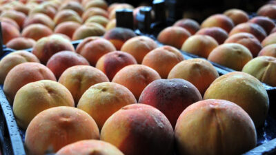 Bursa’nın lezzetleri vitrine çıkıyor