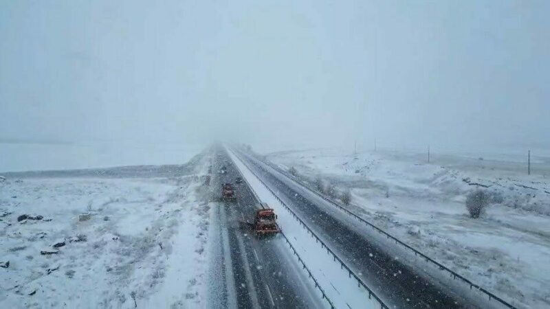 Turuncu kaplanlar kar mesaisinde