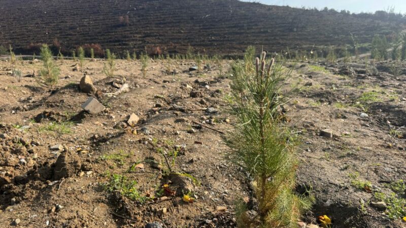 Çevreye duyarlı nesillerden Gürsu’ya can suyu