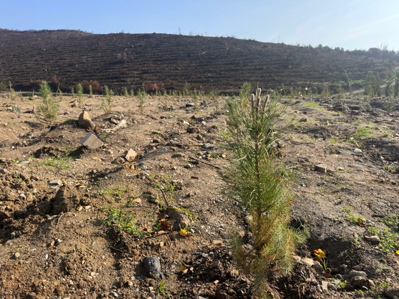 Çevreye duyarlı nesillerden Gürsu’ya can suyu