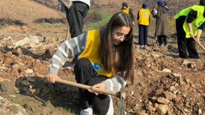 Bursa’nın yanan ormanlarına İstanbul’dan 15 bin fidan
