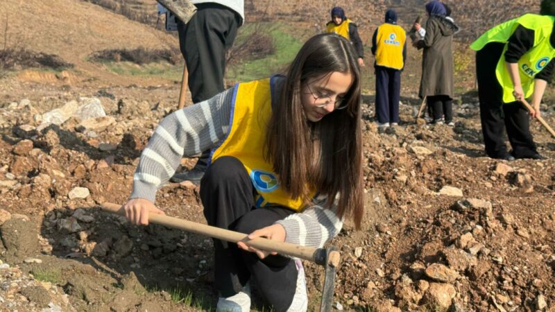 Bursa’nın yanan ormanlarına İstanbul’dan 15 bin fidan