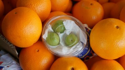 Bursa’da erik tezgaha düştü, fiyatı şok etti!