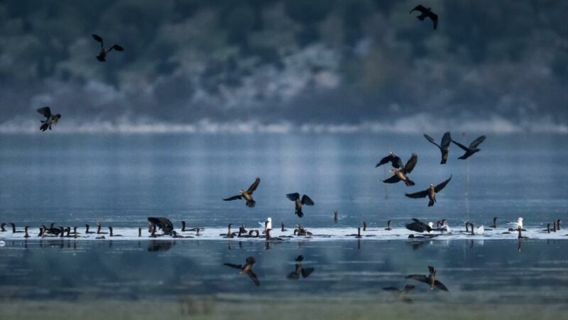 Bursa’nın küçük avcıları!