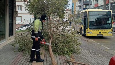 Bursa’daki lodosa karşı Büyükşehir sahada